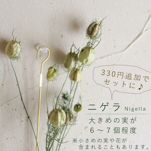 inbloom nMOt[x[X LTCY / ֑} 艺 S[h  k CeA i` KXx[X