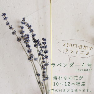 inbloom nMOt[x[X LTCY / ֑} 艺 S[h  k CeA i` KXx[X