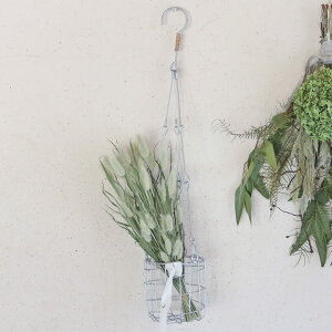 Dusaule f\[ nMO|bgJo[ S  C[ nMO 艺 hCt[ CeA i` Vv  oXPbg