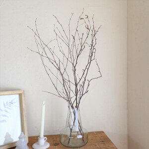 Sceneryvase Vi[x[X KXx[X A[A / Ԃo̎┒̎}Ȃǎ}̃hCt[ɂ߂ȃKXԕr _ g AeB[N KX{g i`