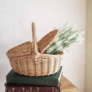 EBbJ[oXPbg ӂt  Ԃ  i` CeA K[fjO Ԃ t` Vv kCeA hCt[