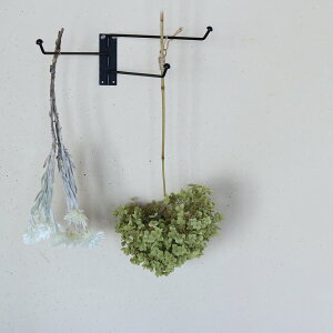 ACA ^InK[ / tbN hCt[ Vv _ i`CeA