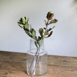 Horn Please [YKX t[x[X P[g yLz g AeB[N i` CeA fBXvC TCNKX