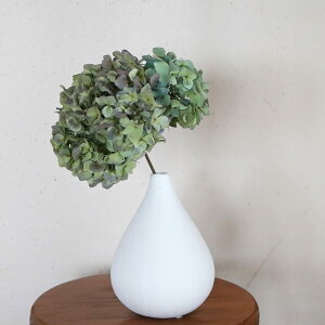 }bgȎ̎퐻t[x[X ptB  Vv_ zCg  ԕr  AeB[N ki` CeA hCt[