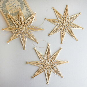 NX}XDʂ Xg[I[ig 3 / q Xg[I[ig NX}X k NX}Xc[ 傫  Ǌ| r[