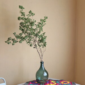 {g^̃t[x[X u[ E p[v  ԕr KXx[X g AeB[N i` kCeA fBXvC