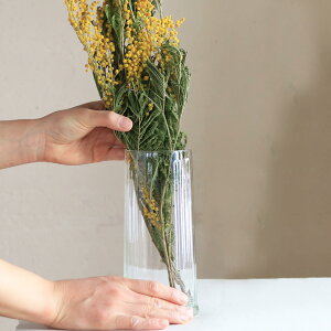 [YKX CYC Vh L  TCNKX ԕr  L g AeB[N i` CeA fBXvC k {^jJ