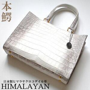 g[gobO Y fB[X obO ΂  NR_C U[ v {v  {q}NR_Cyʃg[gobO   JRA VR  { Y ʋ ʊw s o