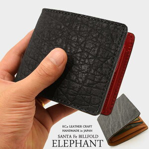 P[V[Y KC'S PCVCY PCV[Y kc,s kcs ܂z Y   KC,s T^tFEGt@g rtH[h ZzAjpAamAubNbh nhCh ]