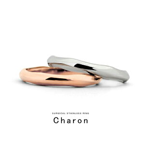 【24h限定100円OFF】【多角度で輝く美】【ラッピング無料】 指輪 リング ◆Charon◆ ステンレス リング サ