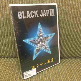 新品入手困難DVD blackjap2 「嵐を呼ぶ男達」 サーフ　ブラックジャップ2サーフィンDVD 日本各地で撮影した秘蔵映像特に伊良湖のaspコンテストの時に現れた先端Pの伝説のスーパーチューブを収録