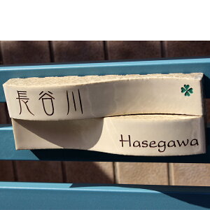 8000 \D ^C  3̕\D敗cC x[W 215x80mm h lC X^CbV  \t IWi ^C  񐢑