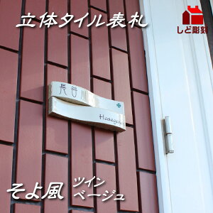 \D ˌ ^C  3̕\D 敗cC x[W 215x80mm h lC X^CbV  \t IWi ^C  񐢑
