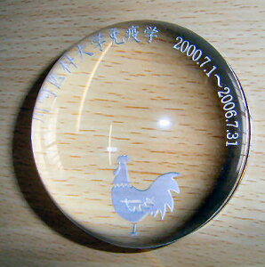 4800   [y^ y[p[EFCg IWi  Mtg 蕨 