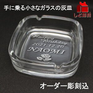 I[_[ ȃKX̊DM XNGA 95mmp