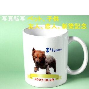 1760 Bi  ʐ^  IWi }OJbv I[_[@] tJ[ vg v[g lC Mtg ʐ^ LO