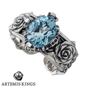 Ae~XLOX [Y Vo[ O u[gp[Y Y fB[X w Vo[925 Vo[ANZT[ AKR0064ARTEMIS KINGS 13`23 uh KN  v[g