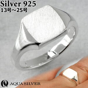 ANAVo[ XNGA  Vo[ O w Vo[925 Y fB[X ASR239AQUA SILVER 13`25 ANZT[ WG[ uh