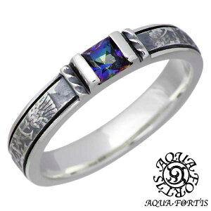 ANAtH[eBX AQUA FORTIS Xg[ Vo[ O w ANZT[ 13`21 Vo[925 X^[OVo[ ANAVo[ AQUA SILVER FR-021FM