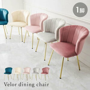 VF`FA Lk fUC  ֎q Pn Tp xA y ʍ45cm d5.5kg S[hr GKg CeA`FA w J[u 77cm kCEEʓr