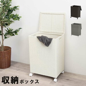 �L���X�^�[�t ���[ �{�b�N�X �o�X�P�b�g�^�C�v �����h���[�o�X�P�b�g ��50cm �����h���[���[ ���󂩂� ���[�{�b�N�X �E�ߏ� ���ʏ� �L�b�`�� ���r���O �c�^ ��e�� �h�� �k�C���ǉ����� ���� 