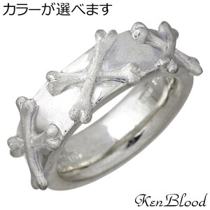 Pubh KEN BLOOD {[ NX Vo[ O w Y 13`27 KR-273
