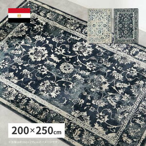 y|Cg5{I 28܂ŁIz EBgO J} 200×250cm EBgD IG^ AeB[N zbgJ[ybgΉ g[Ή GWvg  kCǉ  ʓr