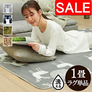 yX[p[SALE 10%OFFIz zbgJ[ybg Jo[ dCJ[ybgΉ kO }bg 1 190x100cm Jo[̂ O O}bg VM[ n GN tl ۉV[gt 􂦂 