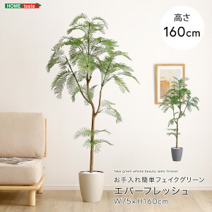 観葉植物 人工観葉植物 エバーフレッシュ」の人気商品一覧・価格比較 