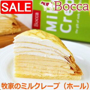 yX[p[SALE 10%OFFIz qƂ̃~N[v z[ 19cm z[P[L fU[g j a i Mtg 蕨  zs