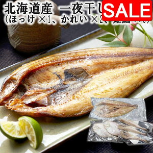 yX[p[SALE 10%OFFIz kCY 銱l iقx1 ꂢx2 PLx3j VNȋ̎|𓦂ʈ銱 fނ̗ǂlߍ킹