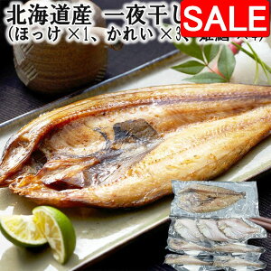 yX[p[SALE 10%OFFIz kCY 銱l iقx1 ꂢx3 PLx4j VNȋ̎|𓦂ʈ銱 fނ̗ǂlߍ킹