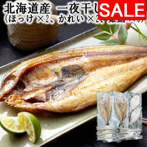 yX[p[SALE 10%OFFIz kCY 銱l iقx2 ꂢx2 PLx5j VNȋ̎|𓦂ʈ銱 fނ̗ǂlߍ킹