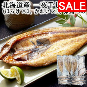 yX[p[SALE 10%OFFIz kCY 銱l iقx3 ꂢx3 PLx6j VNȋ̎|𓦂ʈ銱 fނ̗ǂlߍ킹