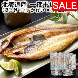 yX[p[SALE 10%OFFIz kCY 銱l iقx4 ꂢx3 PLx6j VNȋ̎|𓦂ʈ銱 fނ̗ǂlߍ킹