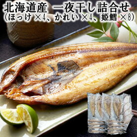 北海道産 一夜干し詰合せ （ほっけx4 かれいx4 姫鱈x8） 新鮮な魚介の旨味を逃さぬ一夜干し 素材の良さが引き立つ詰め合わせ