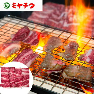 y|Cg5{I13܂ŁIz {苍 ē o 200g i Mtg 蕨 zs