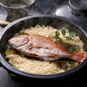 y|Cg5{IubNtCf[Iz  VRΑgp ߂̂ i Mtg 蕨 zs