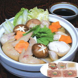 【ポイント5倍！楽天イーグルス感謝祭】 熊本 大阿蘇どり コラーゲンスープ水炊き B 手羽先200gx1 骨付モモ肉200gx1 ムネ肉200gx2 鶏がらと骨付肉をじっくり煮込んだコラーゲンたっぷりのスープ ご進物 ギフト 贈り物に 離島配送不可