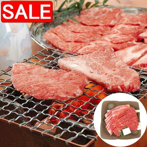 yX[p[SALE 10%OFFIz   T _ˋ ē  o500g J^500g јa  {Oä2009Nɂ͕ăfBAI Eōł9ނ̐HוɑIo i Mt