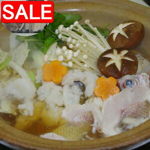 yX[p[SALE 10%OFFIz  ጎ ͂Ƒ̓ ̂㎿ȓVRñuh b͂ Əj̐Ȃɂ͌ȂZbgɂĎYnł͂܂ i Mtg 蕨 