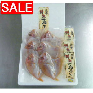 yX[p[SALE 10%OFFIz R Aq 銱 2x3 37RYHWɂĐY܂ Ȃ̂Ȃî锒gȂ̂łЈxܖ i Mtg 蕨 z