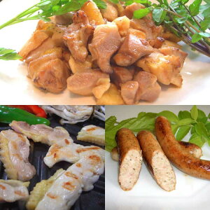 福島 川俣シャモ 焼肉 スライス サイコロステーキ用 手羽元 ソーセージ 川俣シャモは豊かな自然の中で放し飼いにされ陽光を充分に浴び自然の草をついばみながら成長します ご進物 ギフト