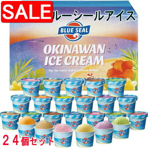 yX[p[SALE 10%OFFIz  u[V[ACX v24 ACXN[ cŐlCOKINAWANt[o[ƃAJt[o[lߍ킹MtgZbgił i Mtg 蕨