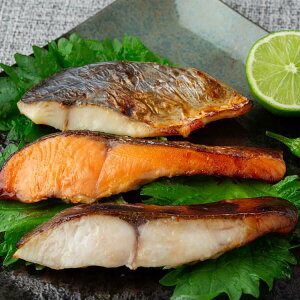 佐賀 竹八 西京吟醸漬 計6切 銀鮭西京吟醸漬 さわら西京吟醸漬 銀ひらす西京吟醸漬 各70gx各2 化学調味料は使用せずに素材の風味とコクが一層深く仕上がっております ご進物 ギフト 贈り物