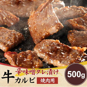 hX^Ђ  Jr ēp 500g yȒPBBQɂ yY v[g i Mtg 蕨 NK00000106