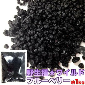 ドライ ワイルド ブルーベリー 大容量 1kg 野生種 お歳暮 お中元 ご進物 ギフト 贈り物に最適 販売元より直送 SM00010048