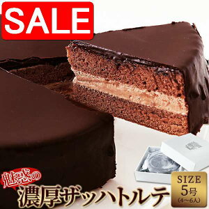 yX[p[SALE 10%OFFIz Ⓚ f Ubnge 5 `R[g P[L yY v[g i Mtg 蕨 SM00010095