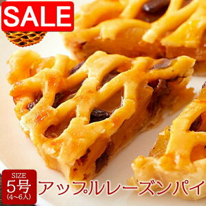 yX[p[SALE 10%OFFIz ylR|Xoׁz Abv [Y pC 5 ƂpCnɂ񂲃vU[uƃ[YՂ yY v[g i Mtg 蕨 SM00010844