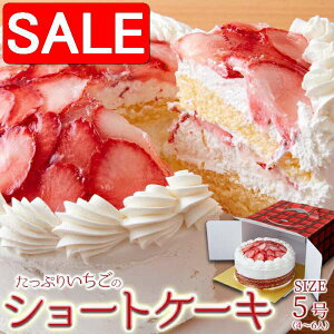 yX[p[SALE 10%OFFIz Ⓚ Ղ N[  V[gP[L 5 XC[c̉l yY v[g i Mtg 蕨 SM00010845